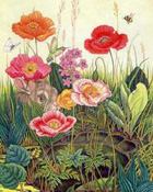 Flora and Fauna sample 7